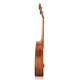 Tomtom Mermaid Ukulele Small Guitar Ukulele Instrumento musical para principiantes N-520C23 pulgadas Modelo de actualización de caoba