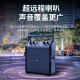 飞利浦（PHILIPS） SD50户外广场舞便携式手提小型音响超大声音蓝牙音箱小蜜蜂扩音器教师喇叭 标配【单音箱，30w峰值功率】