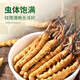 源江草冬虫夏草高洁净虫草3根/g 1克养生滋补品体验装【好滋补认证】