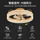 奥罗登2025新款卧室灯吸顶灯客厅摇头风扇灯现代简约轻奢水晶大气家用房 687款吸顶金色【80CM】三色 常规款