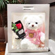 Secret love bear doll dolls, plush toys, couples birthday gifts for best friend girlfriends, Chinese Valentine's Day, white bear blue sweatshirt + gift bag + string lights 30 cm