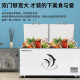 Royalstar freezer commercial first-level energy efficiency large capacity, single temperature, multi-door horizontal large refrigerator, large supermarket ice cream cabinets, energy saving, electricity saving 718 double doors, 1800690850
