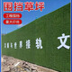 Engineering fence lawn cloth artificial simulated fake turf paving green mesh plastic carpet outdoor decoration green fence 1.0 adhesive army green 2mx5m