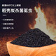 Green Garden Craftsman rice husk charcoal 1kg plant ash potted succulent rose potassium fertilizer biochar fertilizer chaff carbon nutrient soil particles