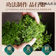[Vendido directamente en la farmacia] Renhe Pharmaceutical Renhe Qingqianliu Té No Wild tierna Brote Té de té Presión de precipitación baja grasa baja azúcar Alta presión arterial se puede usar para dar regalos para el burdock de maíz calamar hojas té té cinco cajas de consolidación de consolidación