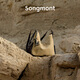 
Songmont [Same Model in Jiang Qiming] The mountain you pine track travel hobo bag large capacity crossbody computer bag Chinese Valentine's Day gift travel hobo large size sand camel brown pre-sale 12 days