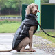 Super resistant dog clothes in winter large dog warm golden collie Doberman clothes 2025 windproof snowproof cotton coat reflective-glare blue 2XL size (bust 58 back length 47)