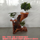 Pangdonglai Calidad [Venta directa oficial] Raíz de madera sólida Estante tallado Ornamento de raíz de árbol natural