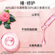 丝蕴（syoss）山茶油滋养修护洗护发套装(洗680ml+润680ml)强韧修复受损洗发水