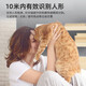 
EAKUN [socket type] No network required 4g camera mobile phone remote monitor 360 degrees without dead angles with night vision wireless traffic home indoor without punching without connecting to wifi 4G traffic version - no installation - 30 days of video recording and viewing
