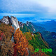 
CLCEY Internet celebrity live background cloth 3D three-dimensional landscape painting movable high-definition live room outdoor interior background wall ZP-13556 2.5 meters wide - 2.5 meters high (hook type)