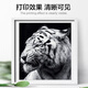 
Xiaojingren CB436A large capacity toner cartridge is suitable for HP hp P1506 P1506n ​​P1505 M1120 M1120n M1120a M1522n M1522n M1522nf printer toner cartridge toner powder