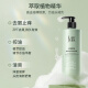 Shulei Tea Tree Oil Control Shampoo 530g Anti-Dandruff Fluffy refrescante y cómodo Hombres y mujeres Festival de botes de dragón