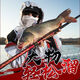 
Dawa Wolf Teeth Top Ten Famous Brand Wolf Teeth High Carbon Table Fishing Rod Fishing Rod Hand Rod Super Light and Hard 19 Adjustment 28 Adjustment Table Fishing Rod Top Ten 3.6m 5H Ultra Light 28 Offset 19 Adjustment 3.6m Only 25g