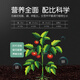 Stanley Compound Fertilizer Vegetable Agricultural Vegetable Fruit Tree Special Fertilizer Flower Growing Chemical Fertilizer Organic 2.5 Jin Jin is equal to 0.5 kg