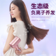 Zhibai (zhibai) hair dryer household negative ion 1800W high-power barber shop hair salon quick-drying hair dryer pregnant women and children can use low noise HL345 Aurora Powder