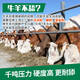 Huazhu Cattle and Sheep Lick Bricks Salt Bricks for Sheep and Cattle Supplementary Nutrition and Trace Elements Feed Additives to Deworm and Pica 20kg Insect-Repellent Lick Bricks