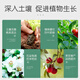 Stanley Compound Fertilizer Vegetable Agricultural Vegetable Fruit Tree Special Fertilizer Flower Growing Chemical Fertilizer Organic 2.5 Jin Jin is equal to 0.5 kg