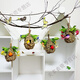 Chao Ming Bird's Nest Decorative Simulated Grass Woven Grass Nest Handmade Outdoor Bird House Outdoor Pendant Coconut Shell Bird's Nest Swallow (Large) Grass Bird's Nest (Empty Nest)