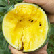 Dayu Yellow Heart Watermelon Seed Seedlings, Early Mature, Yellow Skin, Red Flesh, Yellow Flesh, Special Xiaofeng Watermelon Seeds, Southern Fruit, Yellow Flesh, Xiaofeng Watermelon Seeds, 10 capsules