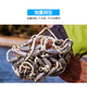 Ren Niofei hand-thrown hand-thrown net American-style easy-throw fishing net spin net swing net pendant fish net tire line flying disc type 4.8 meters
