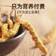 固成堂冬虫夏草 50根礼盒装3根/克藏族虫草干货送礼盒装 100根送礼盒装