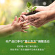 GLTEN施华洛世奇锆海洋之心足银手链女七夕情人节礼物生日送女朋友老婆 7颗施华洛世奇锆·手链+礼盒证书