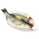 Seaview Frozen Tri-Sea Bass 880g/2 Pieces (Ingredient Pack) Marine Fish Fresh Fish Seafood