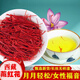 北京同仁堂【黑色星期五】藏红花正宗西藏特级野生藏红花一等泡水喝活血化瘀 胸膈痞闷特级精品超A花丝10克[双礼盒]
