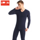 Three-gun autumn clothes, long johns, thermal underwear for men, stretch thin, slim fit V-neck, round neck, men's and women's Lycra cotton couple set, Lycra cotton solid color, men's navy V-neck XL