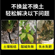 Qiante soil activator for flower green plants, succulent fruit trees and flowers, general soil activator 100g 6 bottles