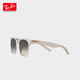 雷朋（RayBan）【官方正品】CORE系列太阳镜方形玳瑁色全框0RB4379D710/1355
