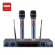 BBS Wireless Mikrofon Ein bis zwei professionelle Unterrichtsleistung Mikrofon-Bühnenbühne KTV Home Karaoke Home Karaoke U-Segmentausrüstung Set Anti-Whistle U-898BGs U-898BGS (Grau) offizieller Standard