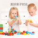 Hape(德国)宝宝塑料积木玩具可机洗diy创趣入门套男女孩礼物760003