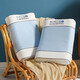 Nanjiren (Nanjiren) Thai Latex Pillow Pair of Home Natural Rubber Pillow Pillows Soothing Cervical Sleep Silicone Low Pillow Core Blue-Wave Low Pillow [2 Pack + Inner Jacket]