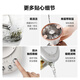 北鼎（Buydeem）【无胶水】养生壶煮茶器萃取壶全自动恒温烧水壶家用电热水壶煮茶壶办公大容量K156【国家补贴】