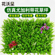 Huawoli simulated lawn (with flowers Eucalyptus 40*60) simulated plant wall green plant wall fake lawn turf wall decoration