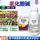 Choline chloride 60% wheat garlic onion sweet potato peanut potato ginseng medicinal ginger underground rhizome expansion agent 500ml 1 bottle
