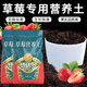 Devodo Strawberry Special Nutrient Soil 8L Gardening Green Planting Fruits and Vegetables Organic Soil Balcony Potted Farmhouse Planting Soil