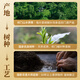 Tianzhi Black Tea Qimen Black Tea Qihong Combination Package pour cadeaux pour les aînés pendant les festivals, Big Jar 672G Sac-cadeau