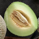 Zhongke Maohua Melon Fruit Seeds Zhongke Mi No. 6 Hami Melon Seeds thick-skinned melons originate from Xinjiang Reticulated Melon and are resistant to transportation. Zhong Ke Mi No. 6 Hami Melon Seeds 50 capsules