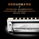 SEYDEL德国进口SEYDEL赛德 十孔10蓝调成人口琴 1847 CLASSIC 10孔LE调