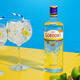 Gordon's Special Dry London Gin Gin Gin Wine Martini Gin and Tonic 700ml 700mL 1 bottle