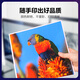彩格CRG-069硒鼓 适用佳能mf752cdw硒鼓 LBP673Cdw LBP673Cdn 674Cx mf756Cx打印机墨盒 黑色大容量带芯片