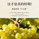 路易马西尼派斯顿法国洋酒xo白兰地40°烈酒橡木桶风味礼盒蓝轩端午送礼 整箱装 700mL 6瓶