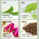 Zhang Taihe 12 sabores de té fragante, té de hoja de loto de melón de invierno, regaliz de cáscara de naranja, espino, té de núcleo de cebada, rosa de núcleo de cáñamo, hojas de morera, dinero verde, hojas de sauce, té de calamar de maíz, té de hoja de lote de loto de invierno 120g (4GX30)/bolso)