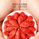 Fudonghai Red Wolfberry 1000g extra große Obstqualität ausgewählt Beste Wolfberry Free Geschenke in Zhongning, Ningxia
