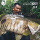 BFW BONE FISHING WORLD骨头战兽路亚竿/旅行竿巨物竿/黑河系列枪柄野钓大物打黑钓鱼竿 2.03m CBB-684XH 枪柄