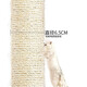King Xunshan 1.4m taller model, luxury large cat climbing frame, cat nest, cat scratching board, cat scratching post, cat rack, cat toy, cat jumping platform, cat paw board, sky pillar, 1.4m large nest model