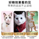 Aier cat food to satisfy craving cats and kittens adult cats universal pet cat full price blue cat ragdoll English short cat food universal 1.5kg 3Jin [Jin equals 0.5kg]